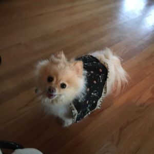 Meet your Posher, Donna